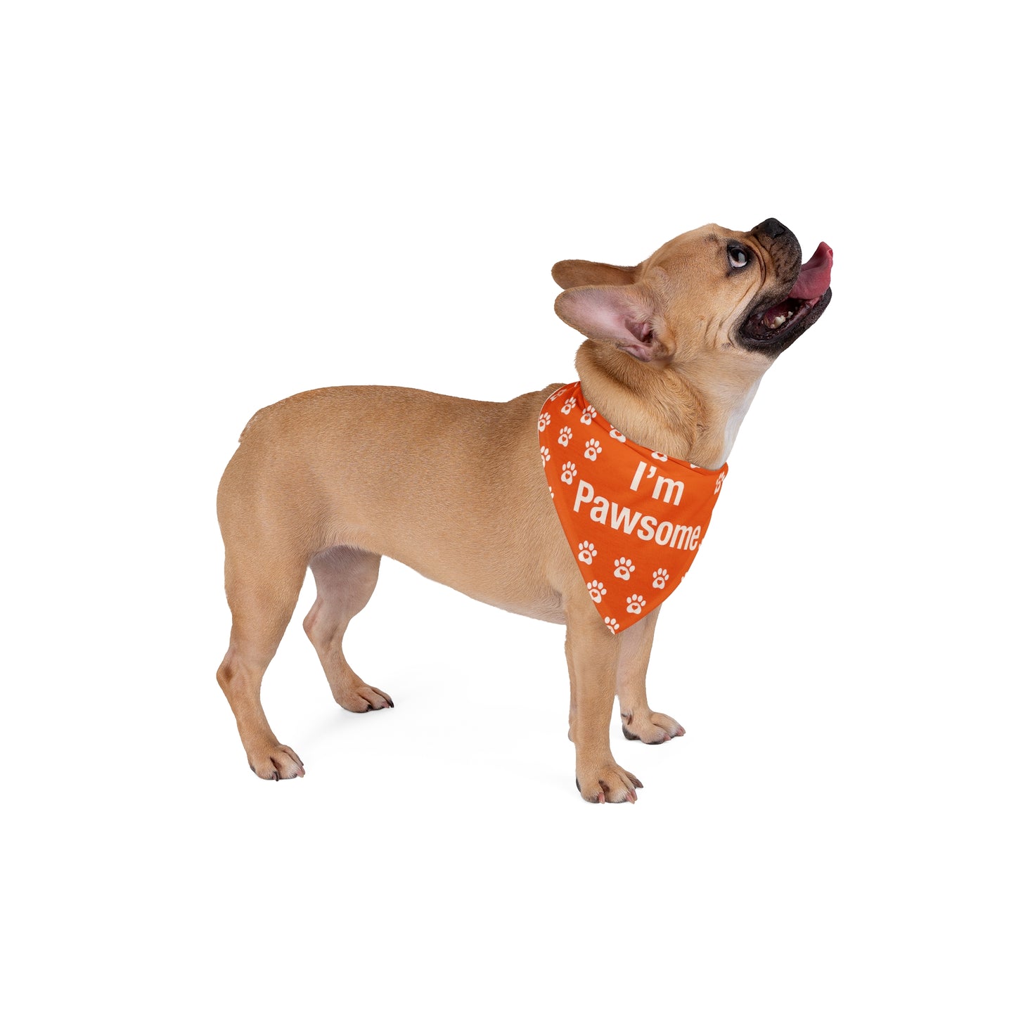 Pawsome Pet Bandana - Cute Dog Accessory